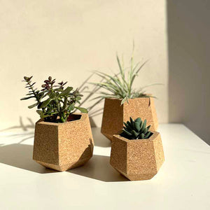 Three cork planters in different sizes with plants