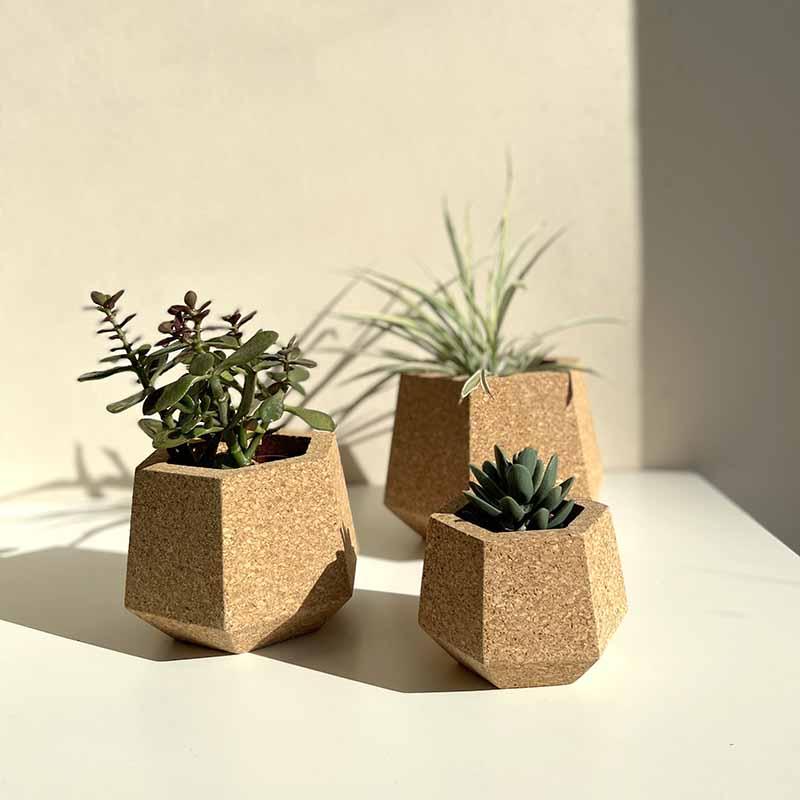 Cork Planters / Hexagonal Plant Pots